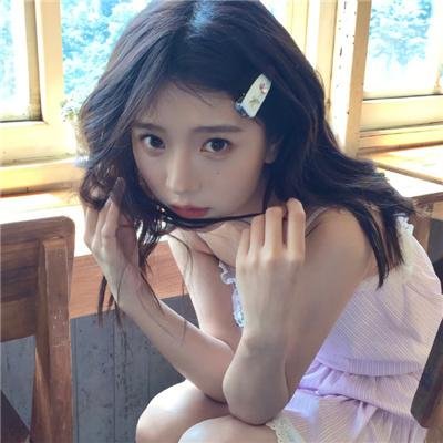 月季花开